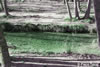 Raco de San Bonaventura-04