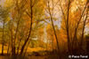Raco de San Bonaventura-12