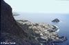Tenerife-20-Garachico