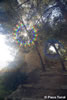 Denia-(9)