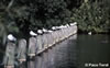 Londres-04