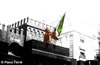 Festes-(13)