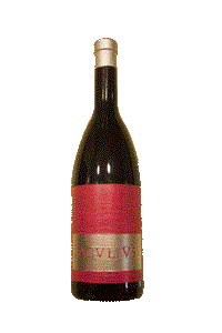 VINO CORRECTO